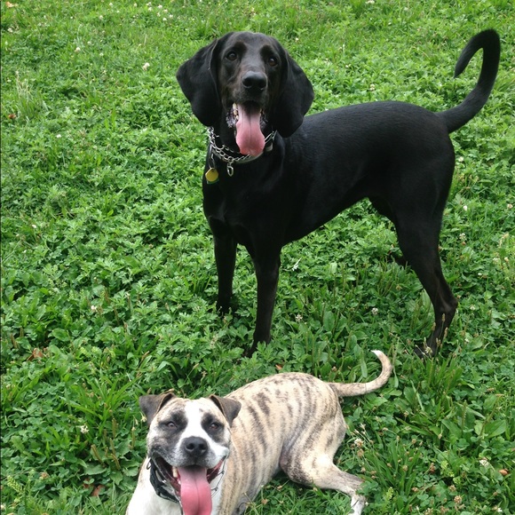 Meet your Posher, Susan - Picture 5 of 5